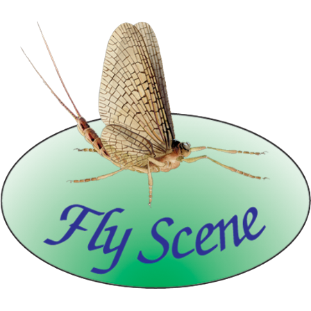 FlyScene Booischot